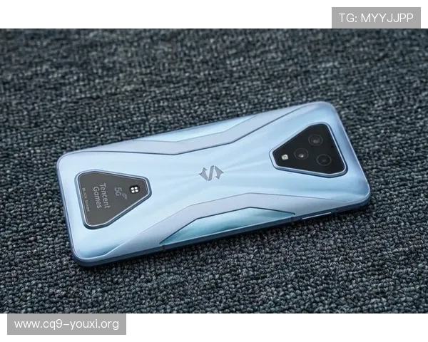 飞驰网址娱乐平台：游戏体验与用户服务的完美结合，打造极致娱乐享受